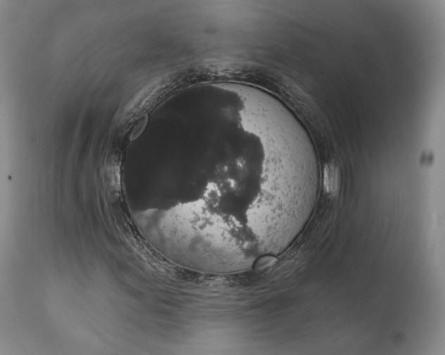 X0000111441155200907271123