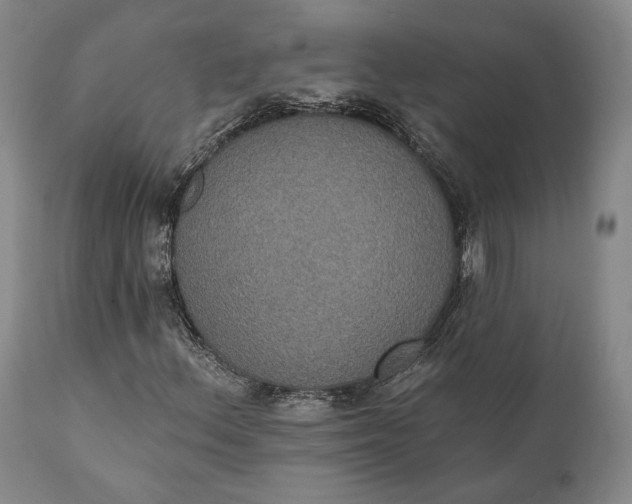 X0000111441156200907271123