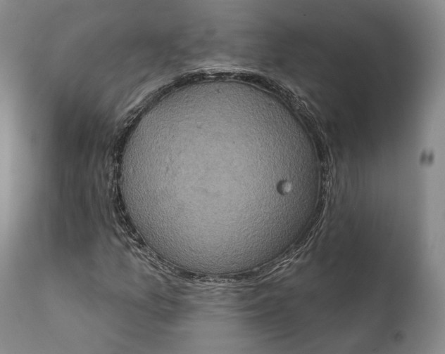 X0000111441157200907271123