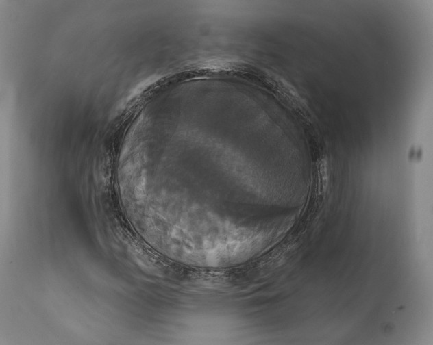 X0000111441158200907271123