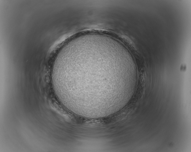 X0000111441159200907271123