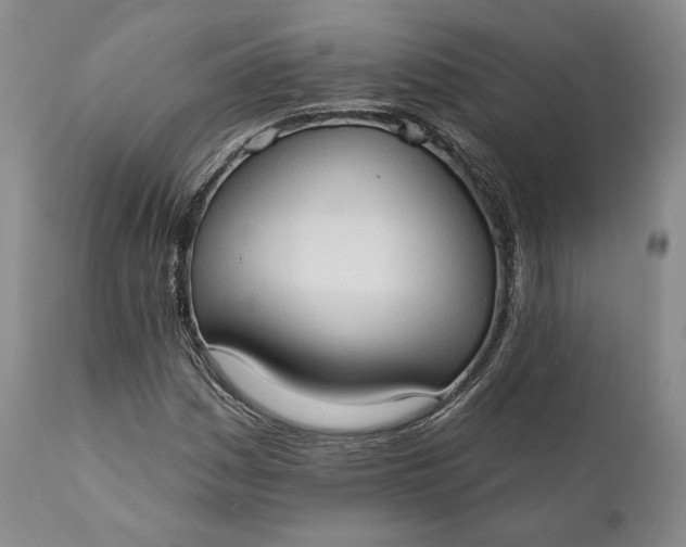 X0000111441161200907271123