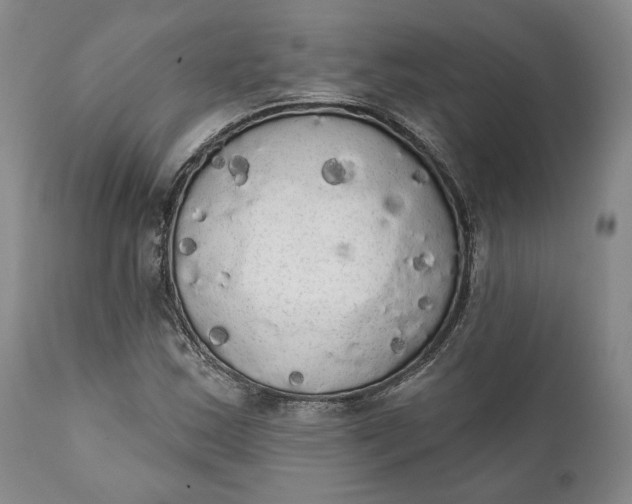 X0000111441163200907271123