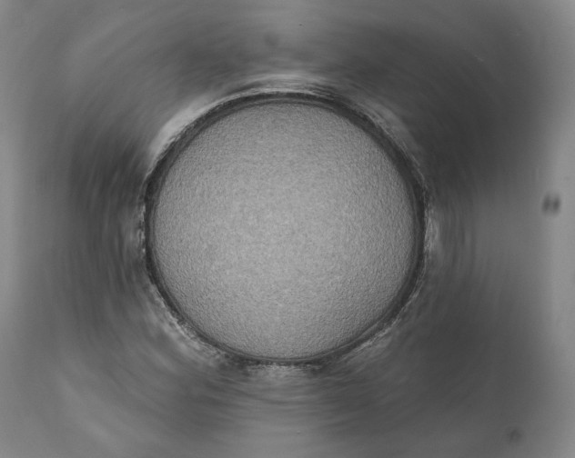 X0000111441164200907271123