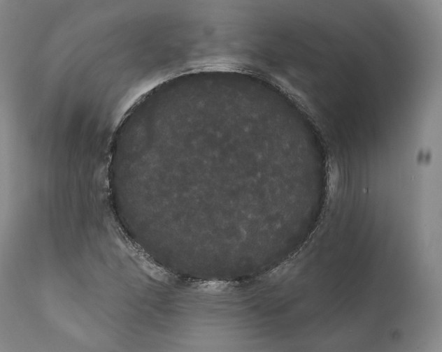 X0000111441166200907271123