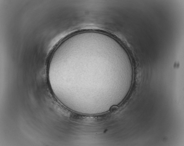 X0000111441167200907271123