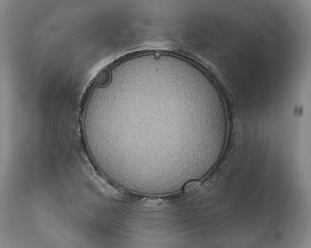 X0000111441168200907271122