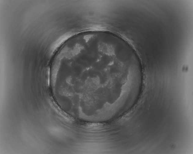 X0000111441171200907271122