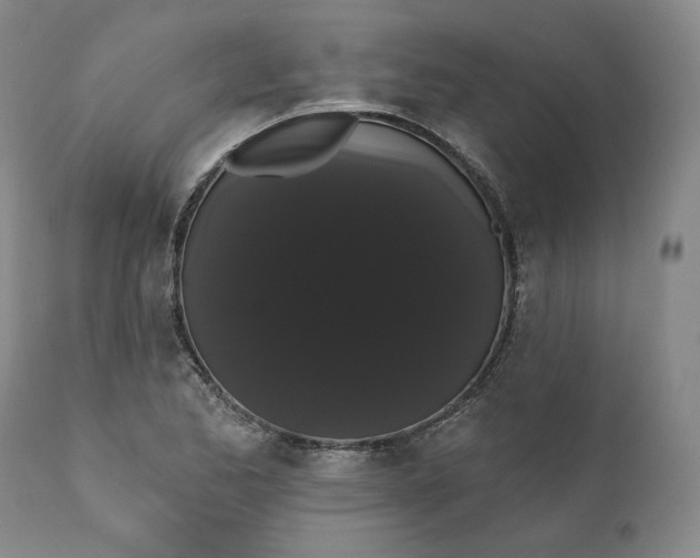 X0000111441173200907271122