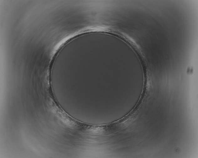 X0000111441174200907271122