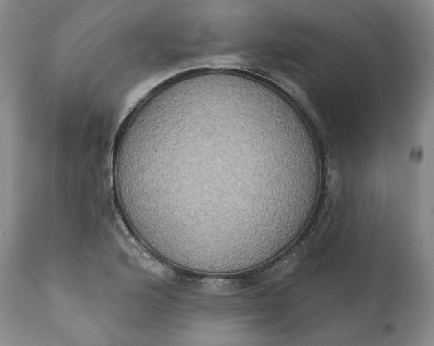 X0000111441176200907271122