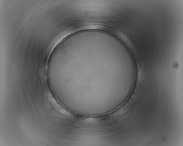 X0000111441178200907271122