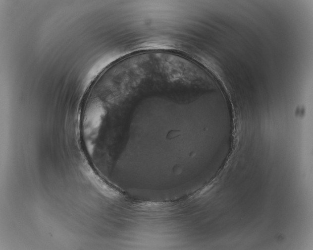 X0000111441179200907271122