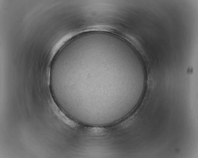 X0000111441180200907271122