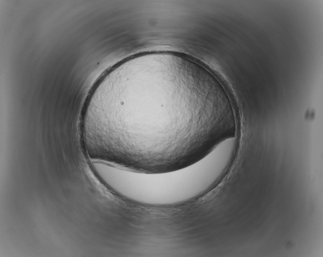 X0000111441181200907271122