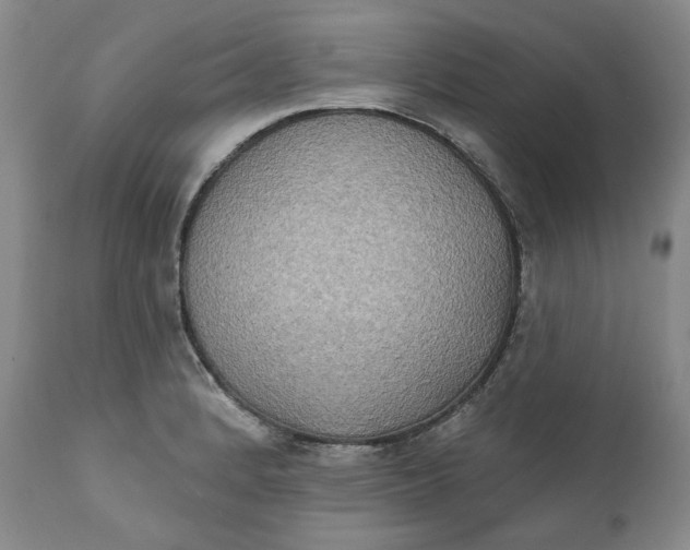 X0000111441184200907271122