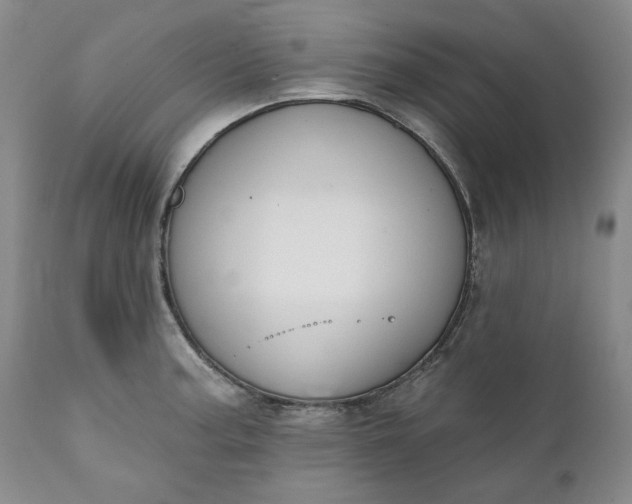 X0000111441187200907271122