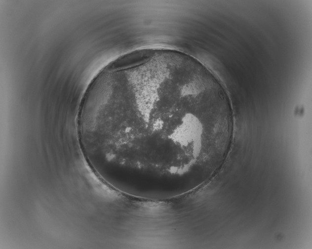 X0000111441189200907271122