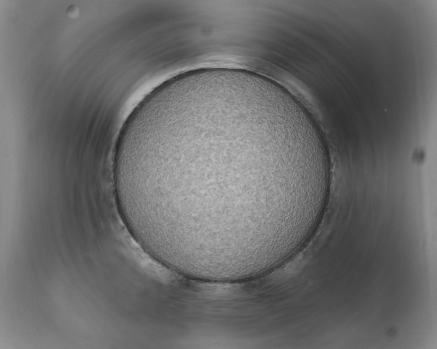 X0000111441192200907271122