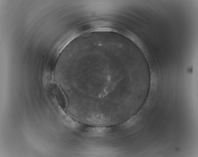 X0000111441193200907271122