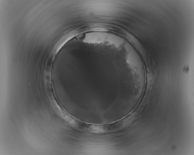 X0000111441194200907271122