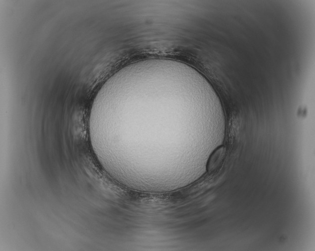 X0000111441202200907271121