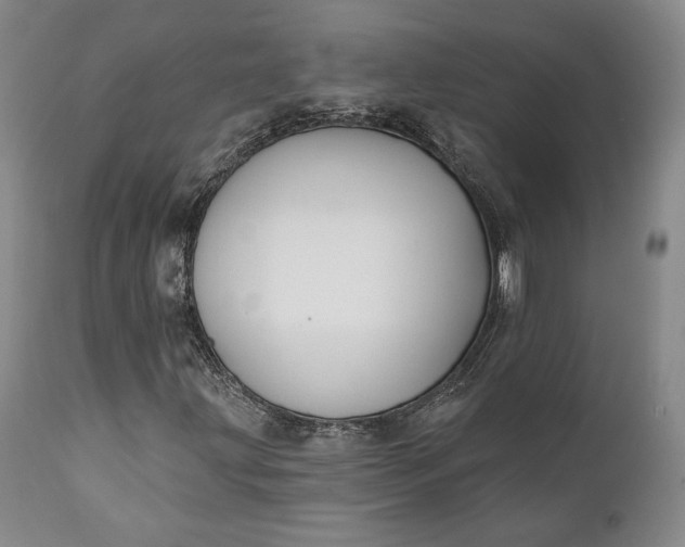 X0000111441203200907271121