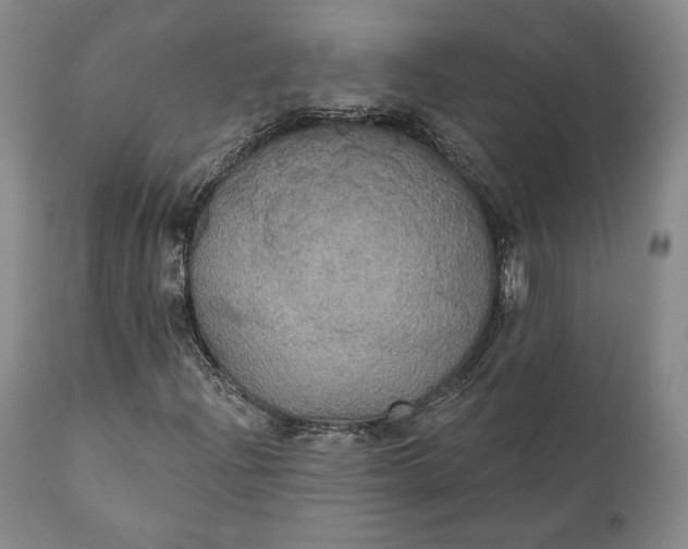 X0000111441204200907271121