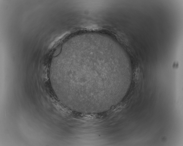 X0000111441205200907271121