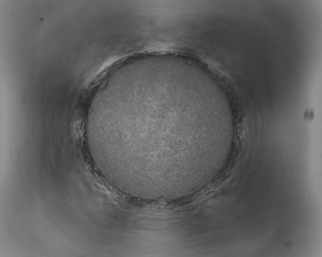 X0000111441206200907271121