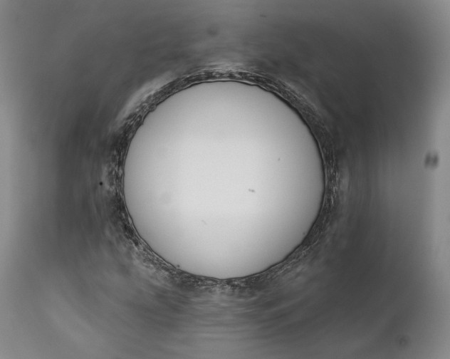 X0000111441207200907271121