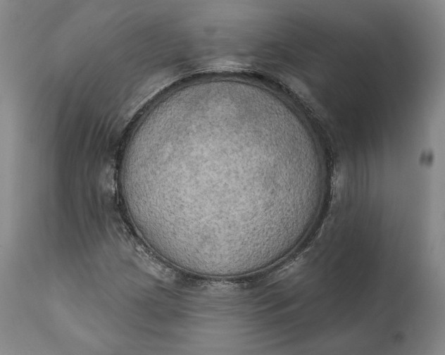 X0000111441209200907271121