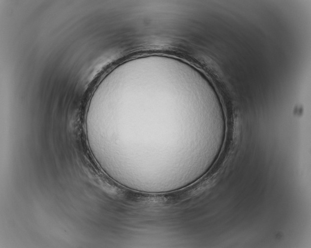 X0000111441210200907271121