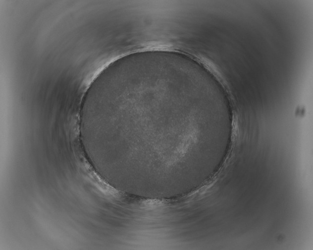 X0000111441212200907271121