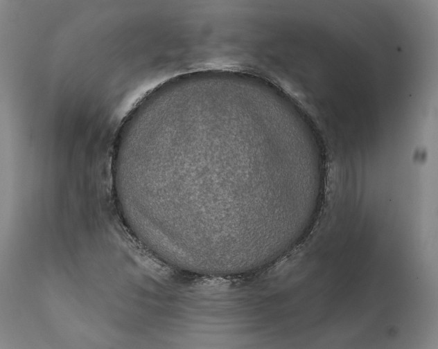 X0000111441214200907271121