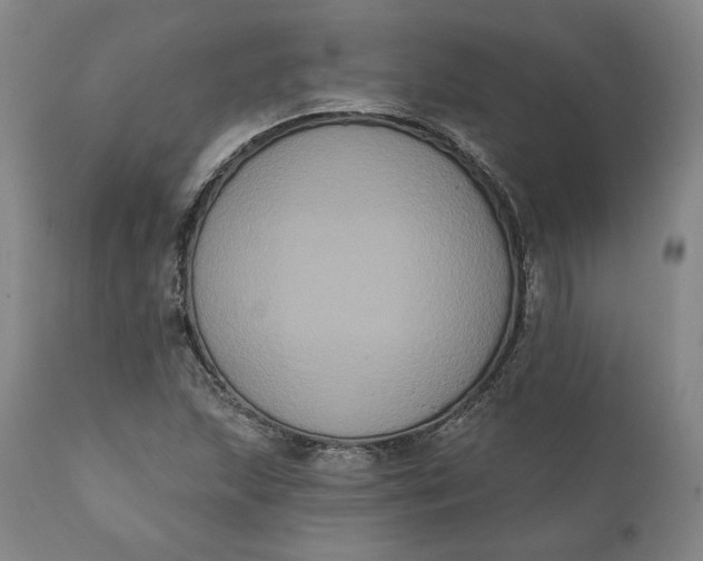 X0000111441215200907271121