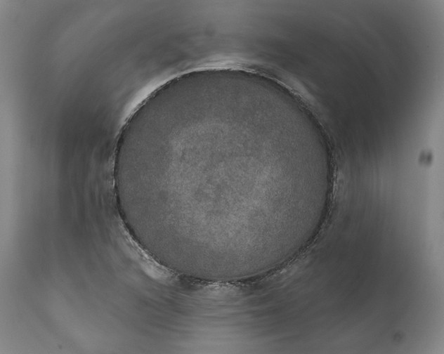 X0000111441216200907271121