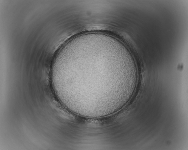 X0000111441217200907271121