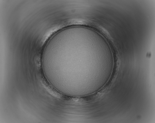 X0000111441218200907271121