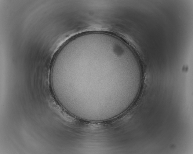 X0000111441220200907271121