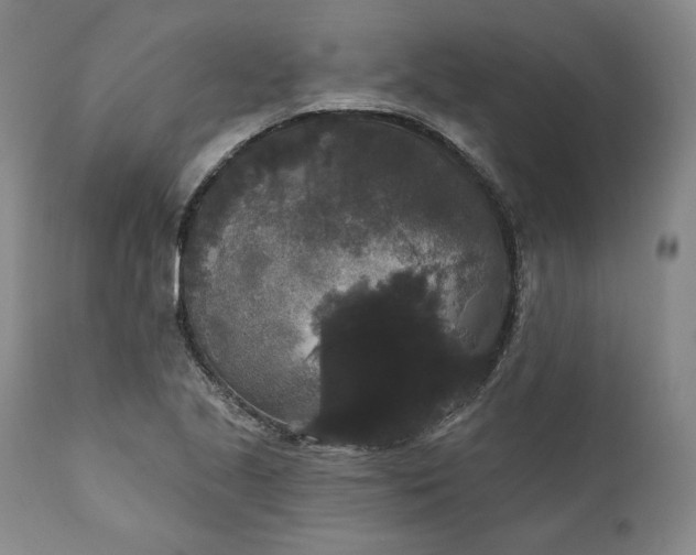 X0000111441221200907271121