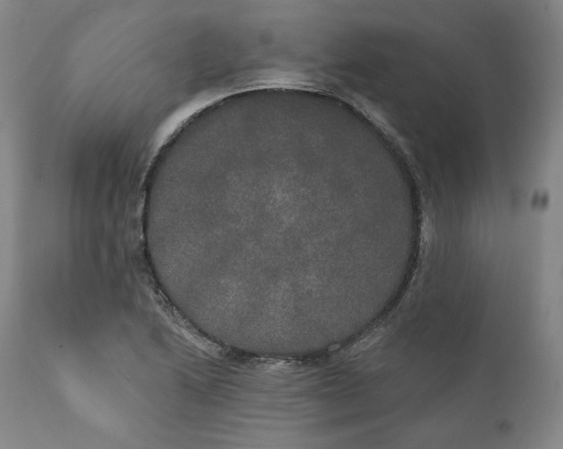 X0000111441222200907271121