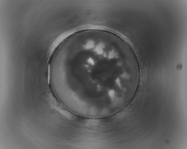 X0000111441223200907271121