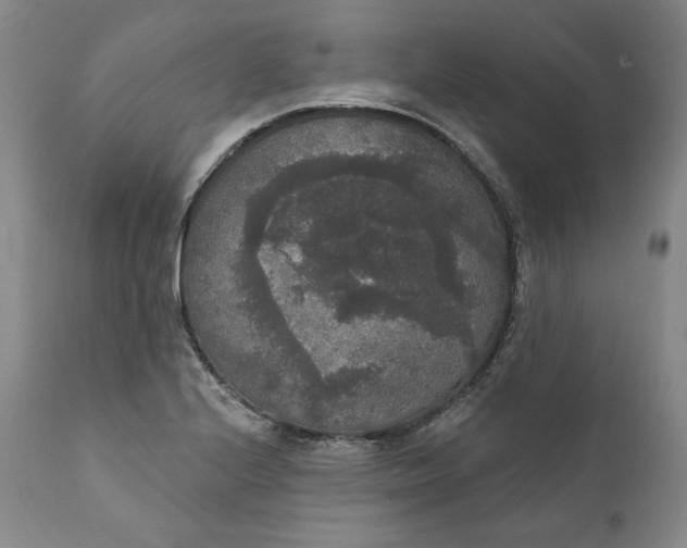 X0000111441224200907271121