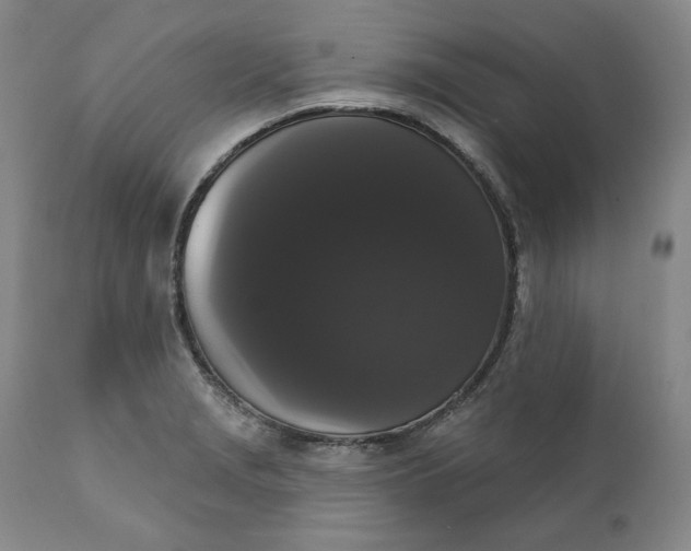 X0000111441229200907271122