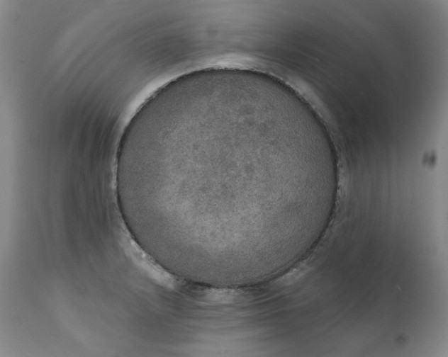 X0000111441232200907271122