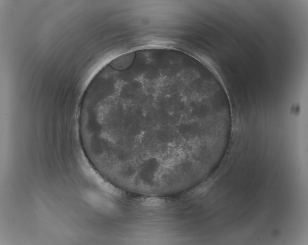 X0000111441235200907271122