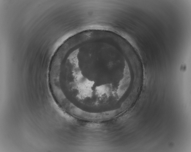 X0000111441237200907271122