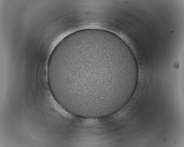 X0000111441238200907271122