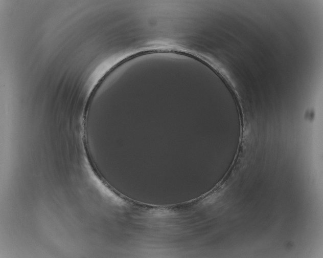 X0000111441239200907271122